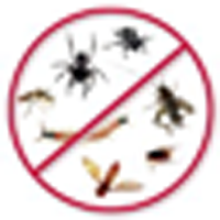 Nova Enterprise - Pest Control Services