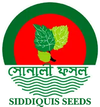 Siddiquis Seeds